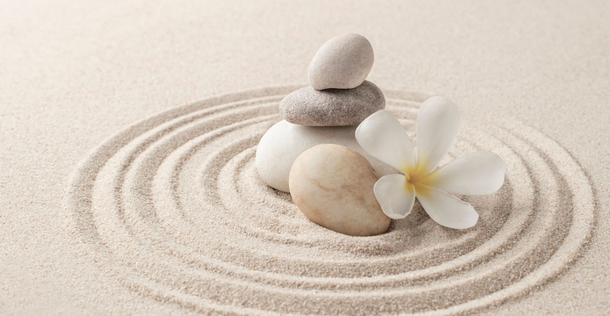 【0-3】11/8（一）僧侶正念慈心一日禪